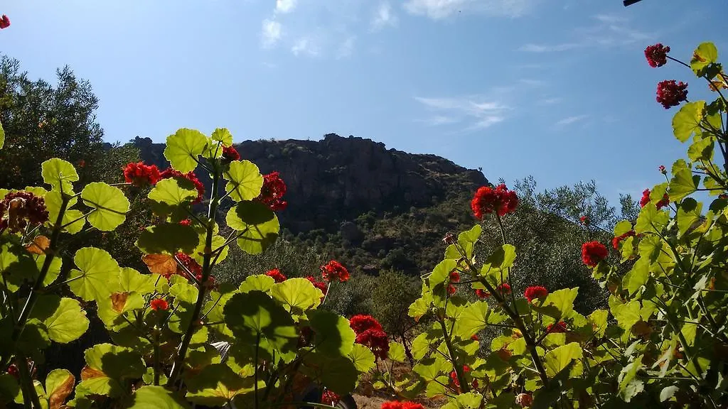 Prázdninový dům Finca La Piedra Holidays Alora